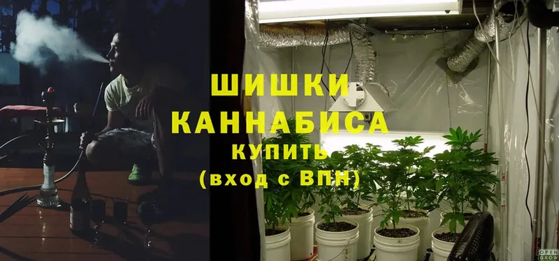 ОМГ ОМГ ссылка  Пушкино  Конопля Ganja 